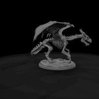 creature-p187-ash-bone-drake-skeleton — thumbnail 7