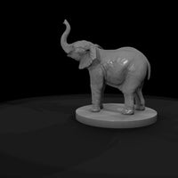 ant-024-african-elephant-adolescent — thumbnail 7