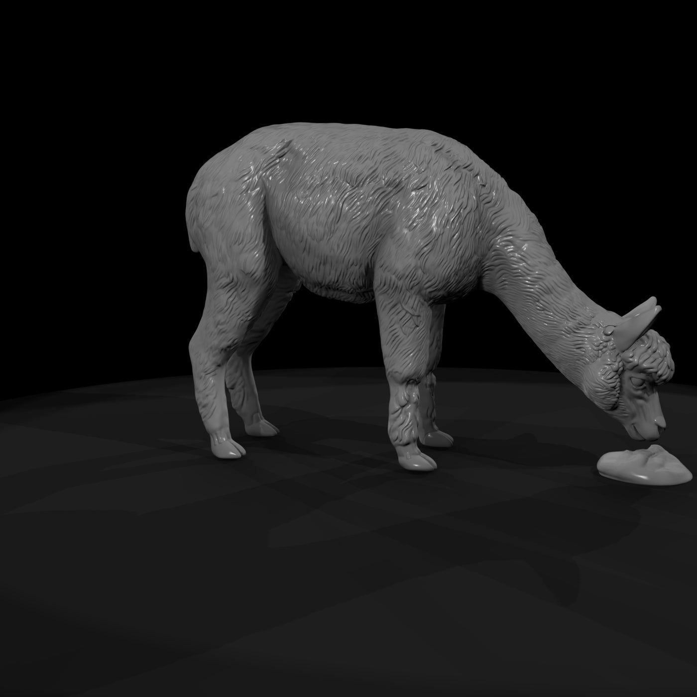 ant-221-alpaca-female