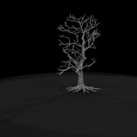 20260612-bare-tree-drawing-3f105c20f0 — thumbnail 7