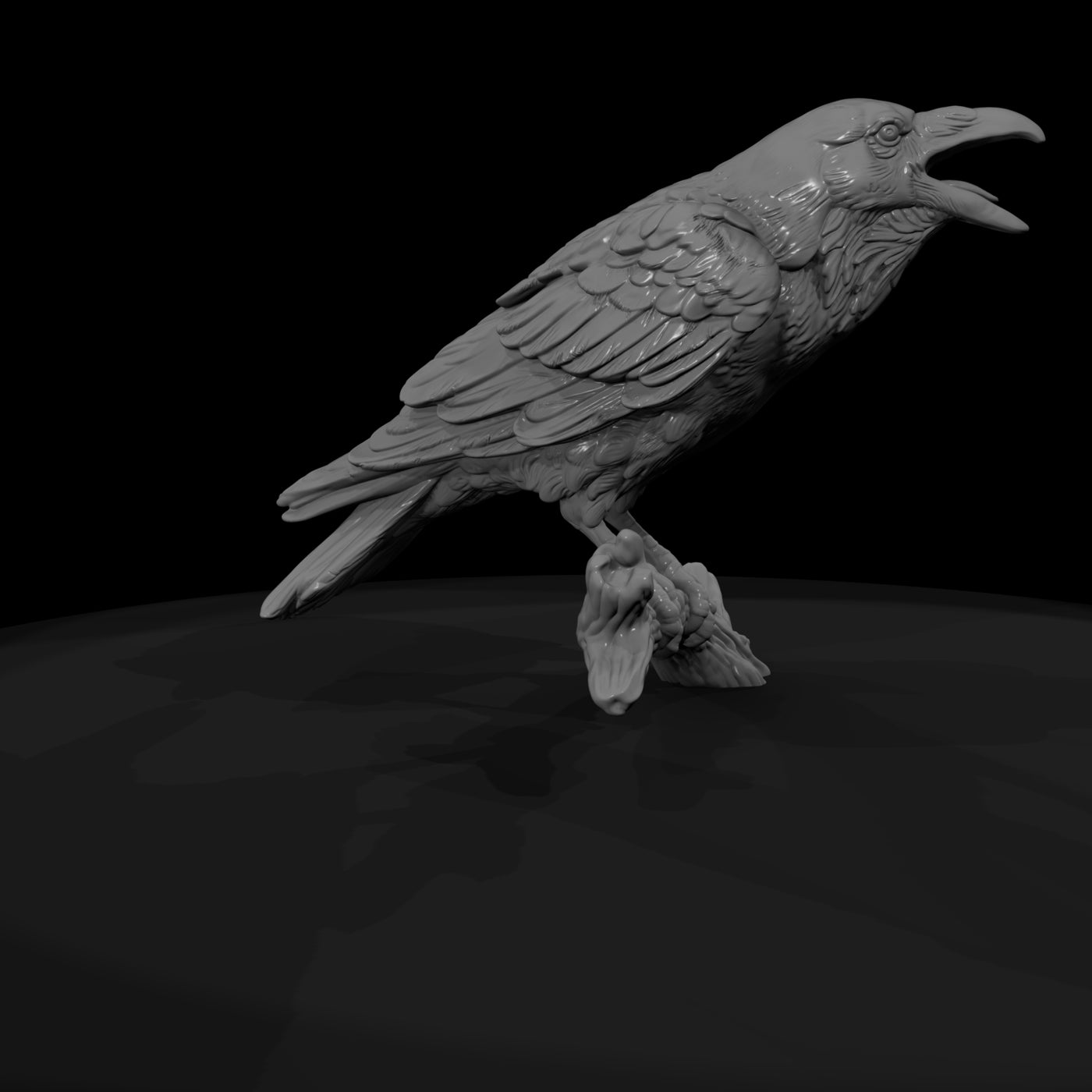 ww-0347-animal-common-raven