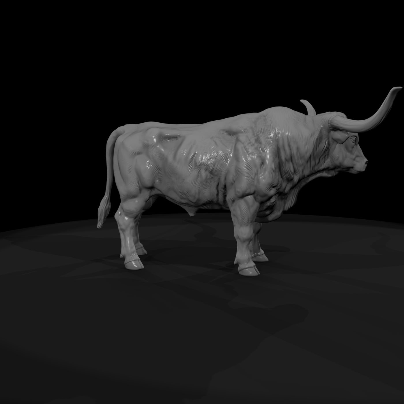 ww-0296-animal-longhorn-bull
