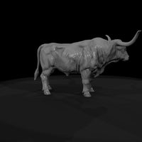 ww-0296-animal-longhorn-bull — thumbnail 7