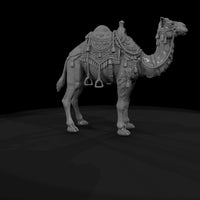 cir-122-animal-circus-camel — thumbnail 7
