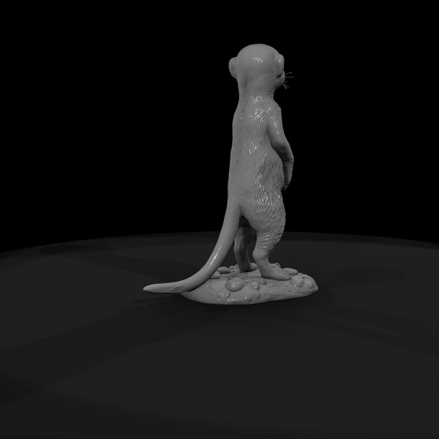 Meerkat Standing Sentry