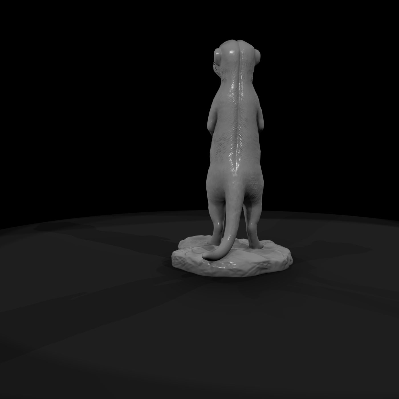 ant-190-meerkat-male
