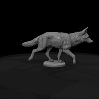 ww-0312-animal-coyote — thumbnail 7