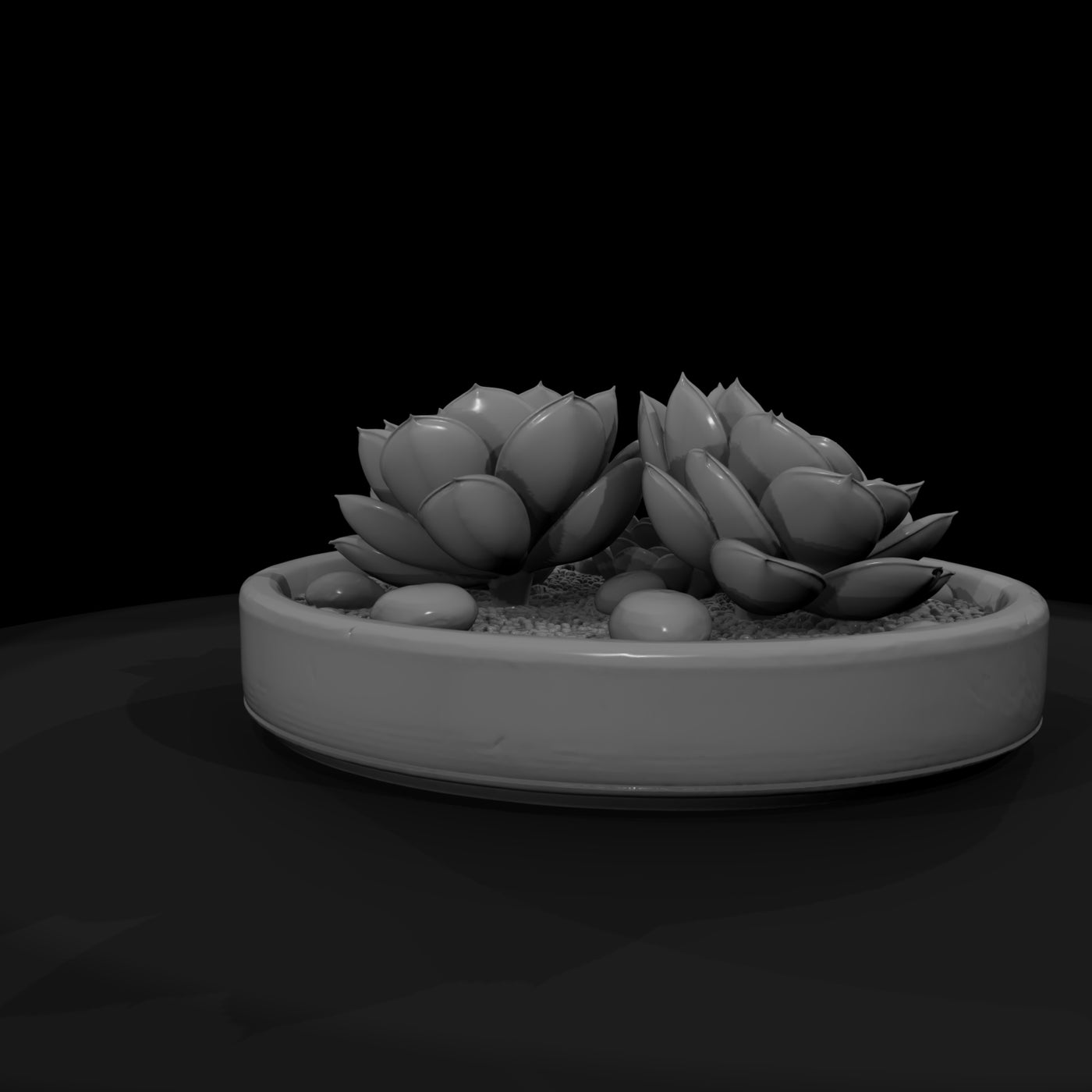 minimalist-monochrome-succulent-zen-garden-3d-printable-miniature-265295