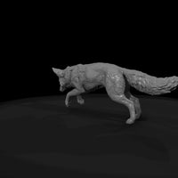 ant-016-red-fox-male — thumbnail 7