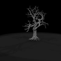 20260612-twisted-dead-tree-74f50aeae0 — thumbnail 7