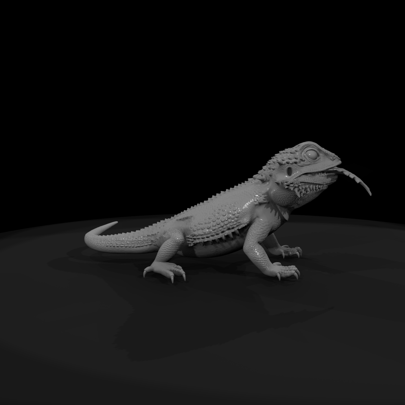 Bearded Dragon