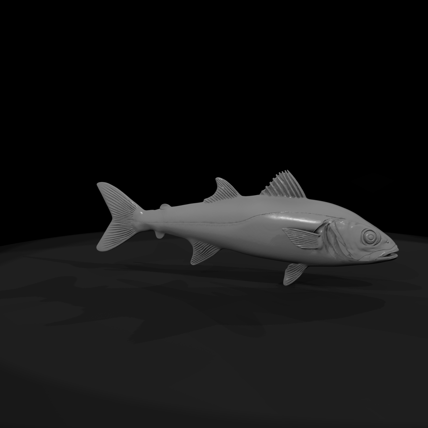 Realistic Saltwater Fish
