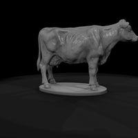 ww-0298-animal-dairy-cow — thumbnail 7