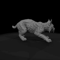 ww-0319-animal-bobcat — thumbnail 7