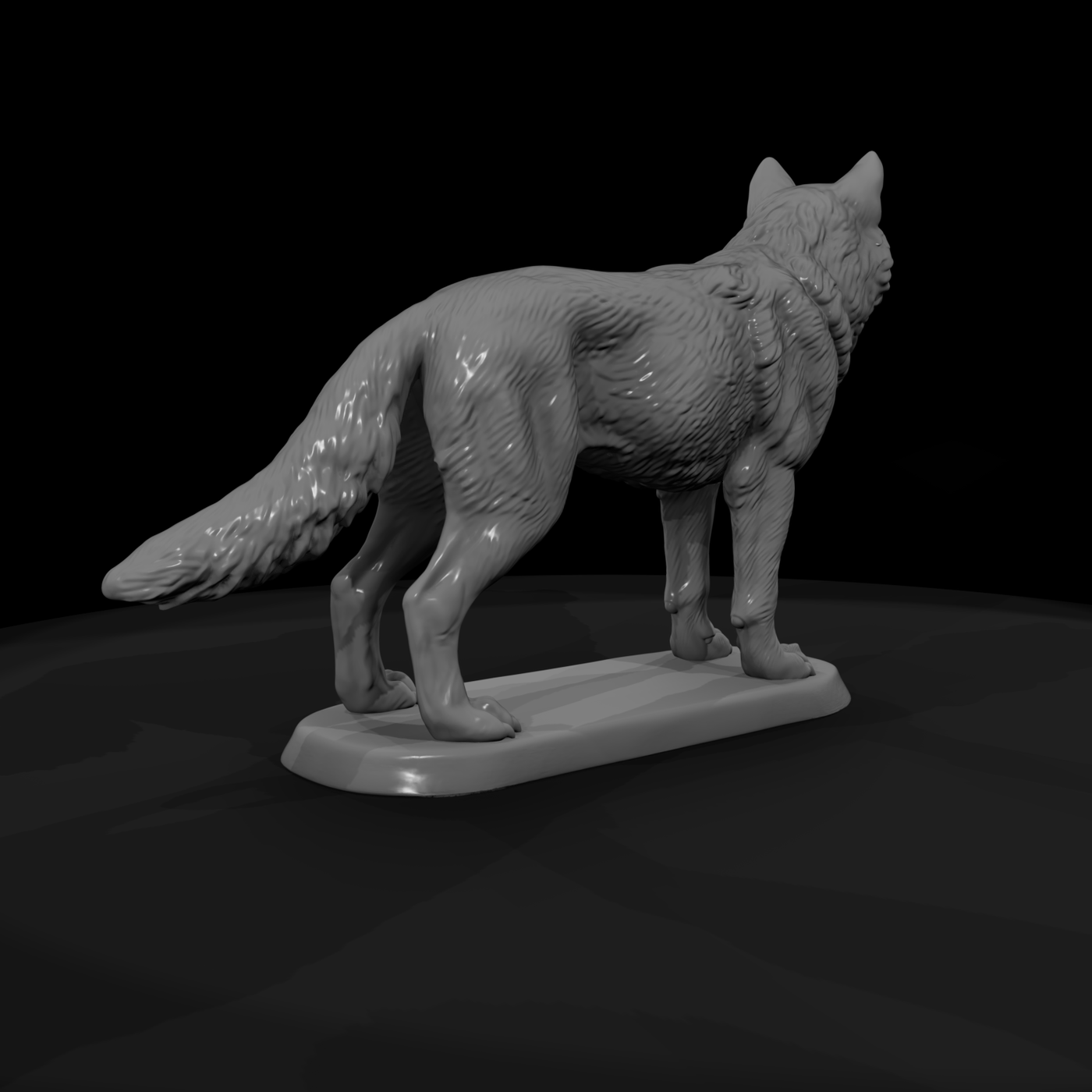 Ww 0313 Animal Gray Wolf