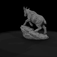 ant-060-mountain-goat-adolescent — thumbnail 7
