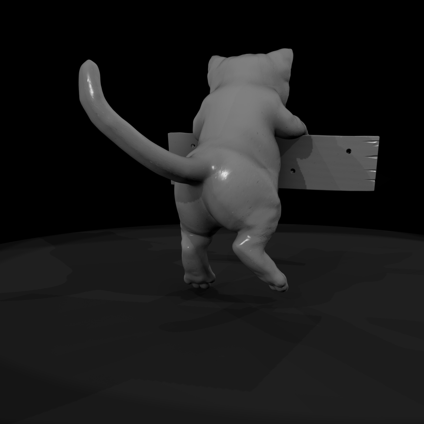 Polydactyl Housecat Set — Sitting & Reaching Poses