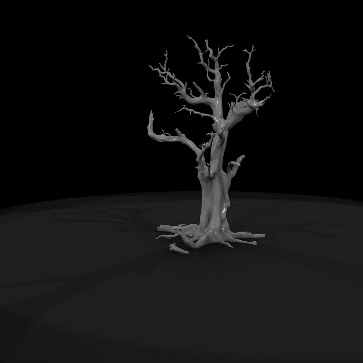 20260612-gnarled-dead-tree-0a1498bdad