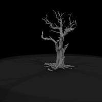 20260612-gnarled-dead-tree-0a1498bdad — thumbnail 7