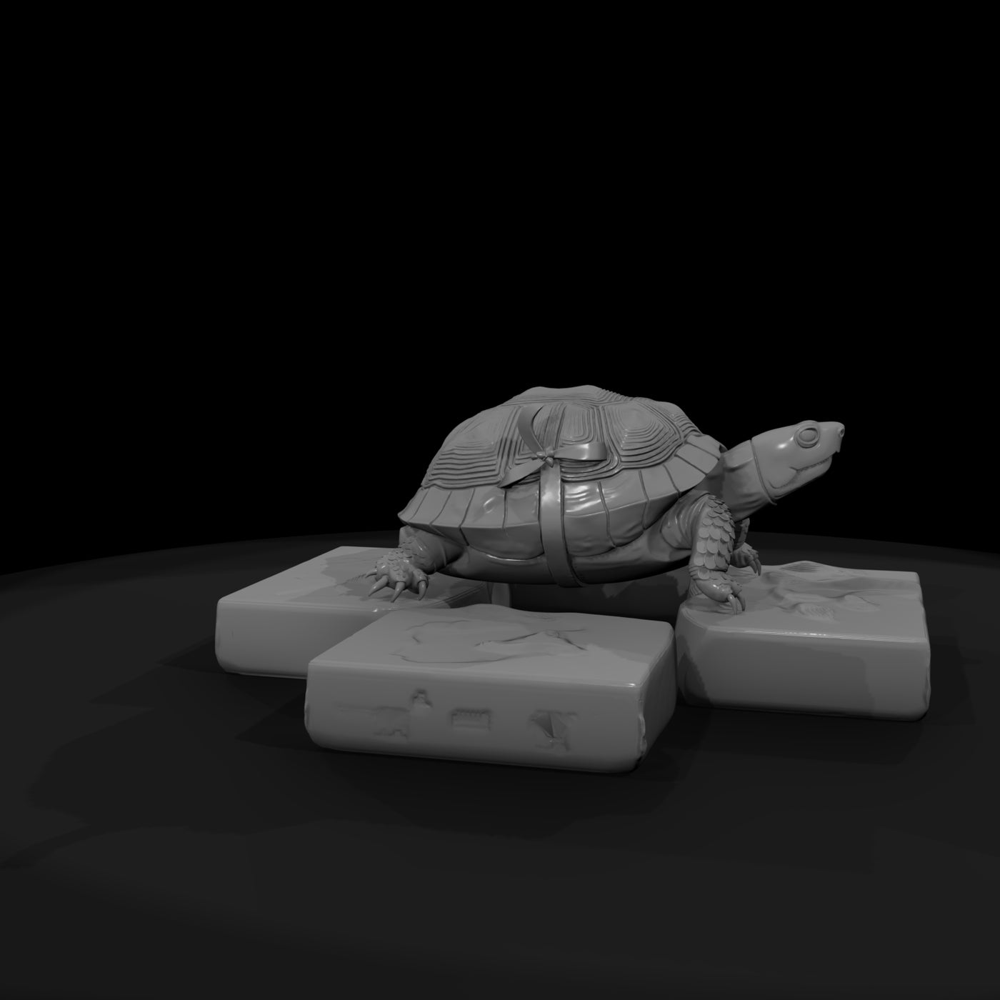 stylized-box-tortoise-3d-model-c5aktigk-67a07e