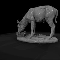 ant-248-waterbuck-female — thumbnail 7