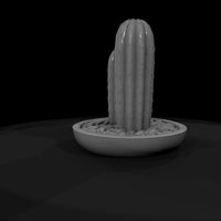 minimalist-potted-cactus-miniature-576781 — thumbnail 8