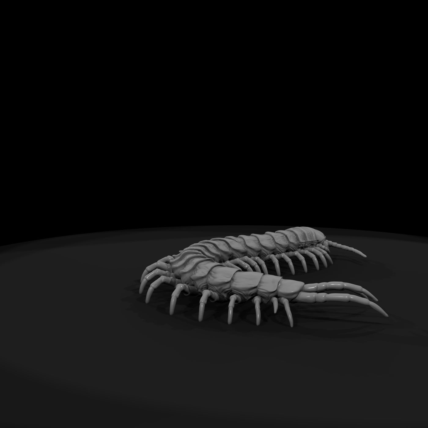 ww-0341-animal-giant-centipede