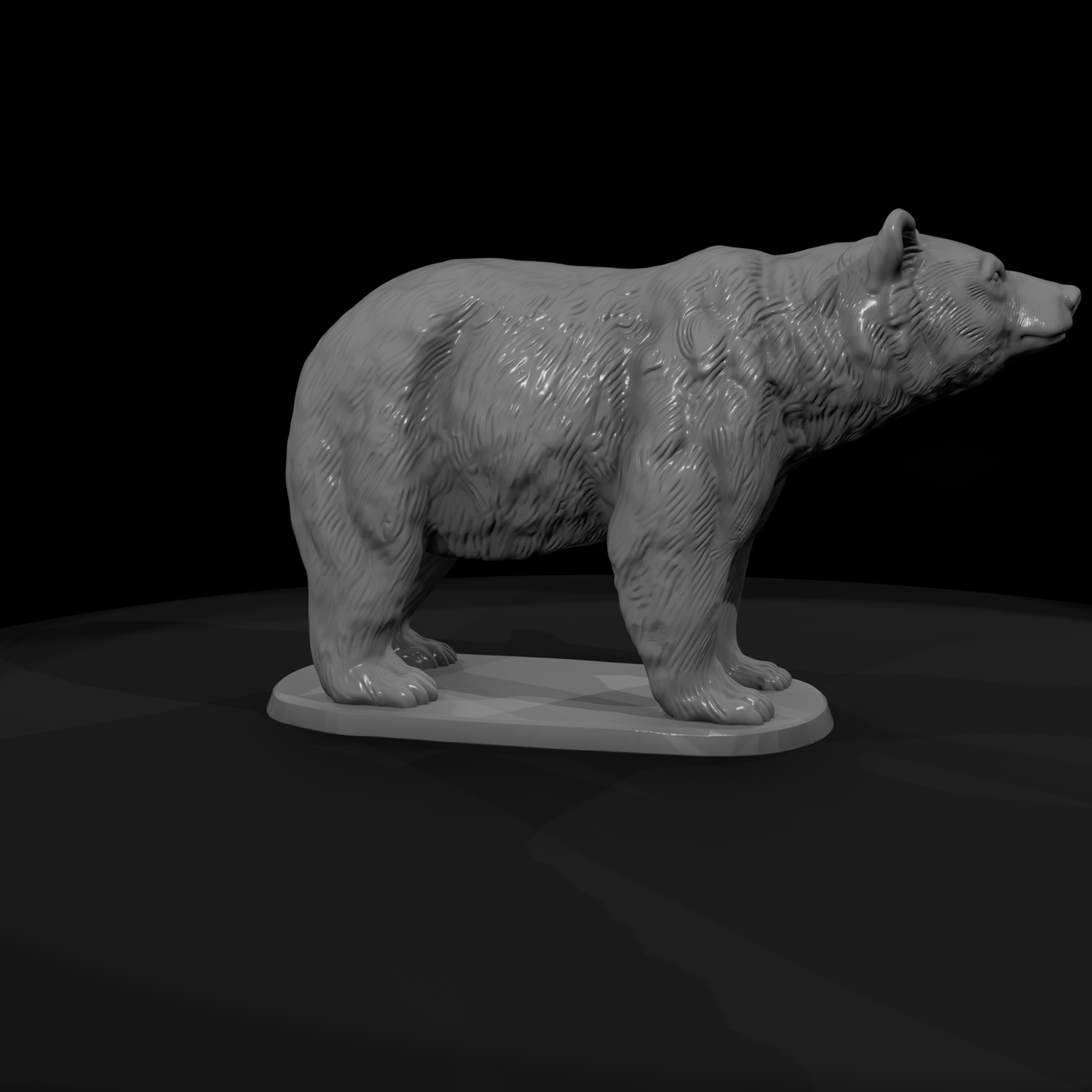 Ant 211 American Black Bear Male