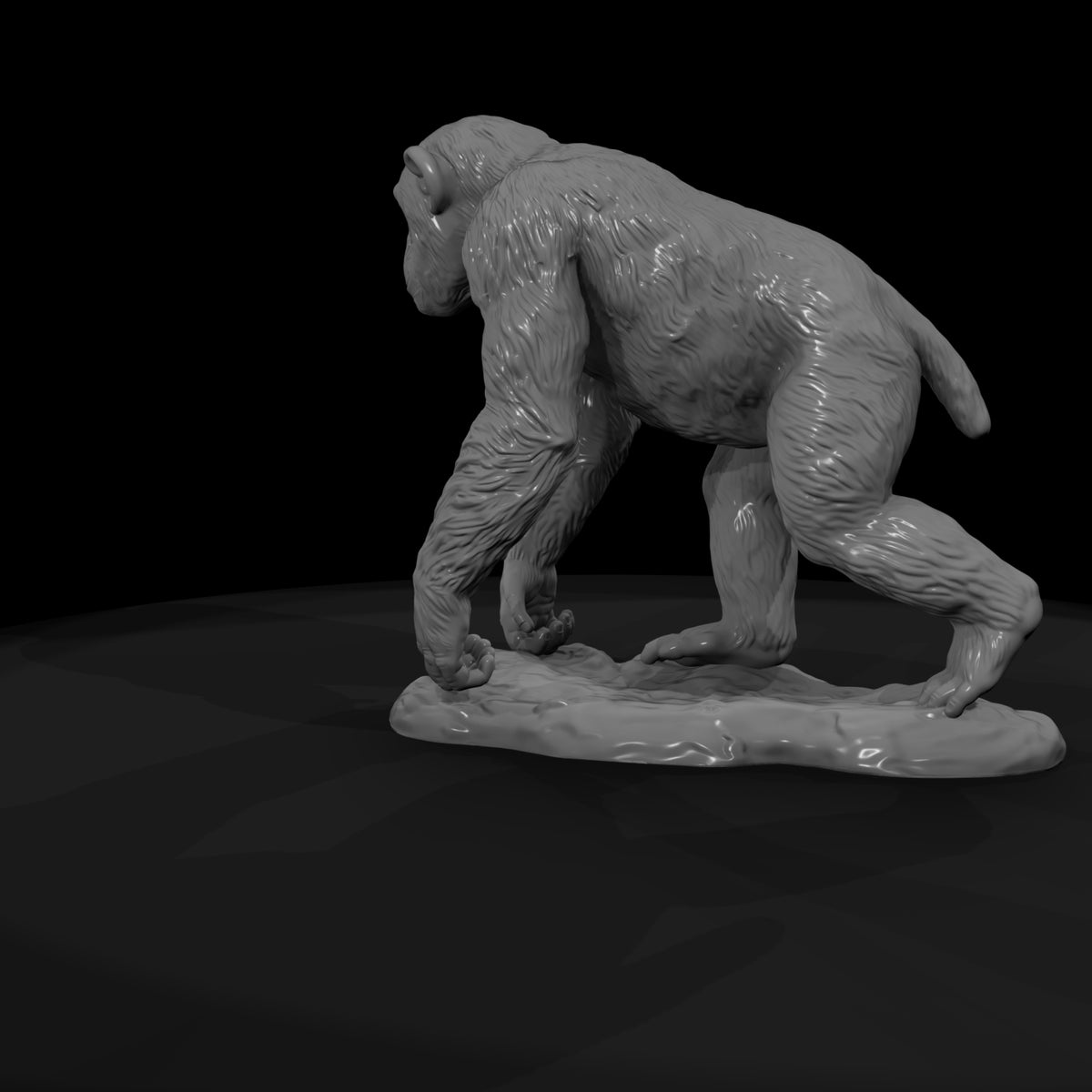 ant-193-chimpanzee-male