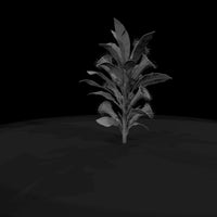 deadly-plants-screaming-heliconia — thumbnail 9