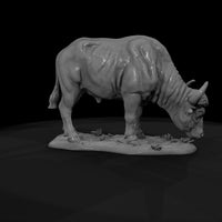 ant-224-cape-buffalo-female — thumbnail 7