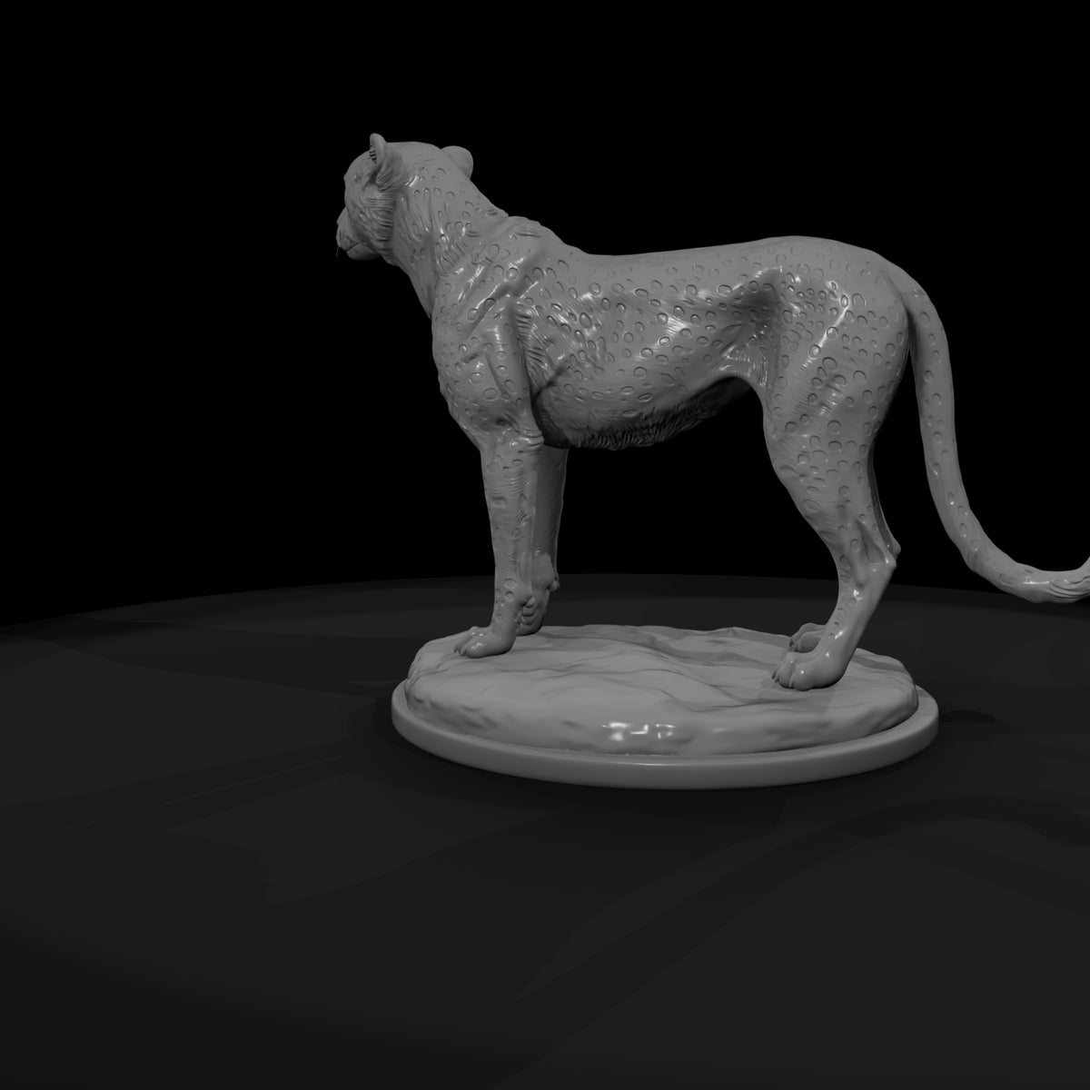 ant-010-cheetah-male