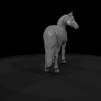 ww-0291-animal-pinto-pony — thumbnail 7