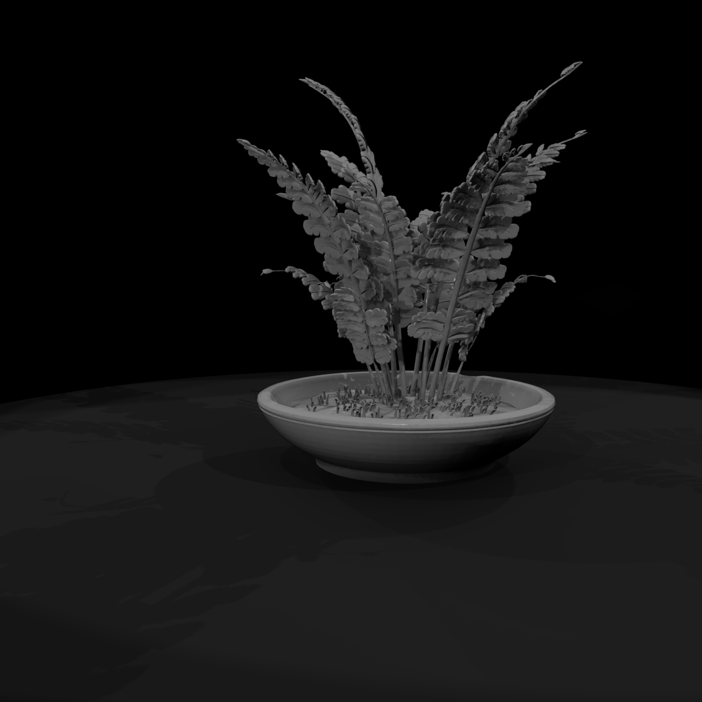 Stylized Monochrome Potted Fern 3D Model 1Qq57Jce