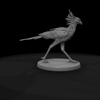 ant-292-secretary-bird-male — thumbnail 7