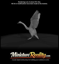 swan-landing — thumbnail 7