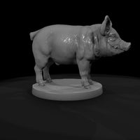 anim-19-pig-5f9cbb — thumbnail 7
