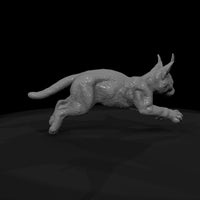 ant-165-caracal-adolescent — thumbnail 7
