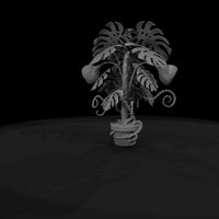 deadly-plants-monstera-devourer — thumbnail 9