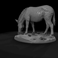 ant-029-plains-zebra-female — thumbnail 7