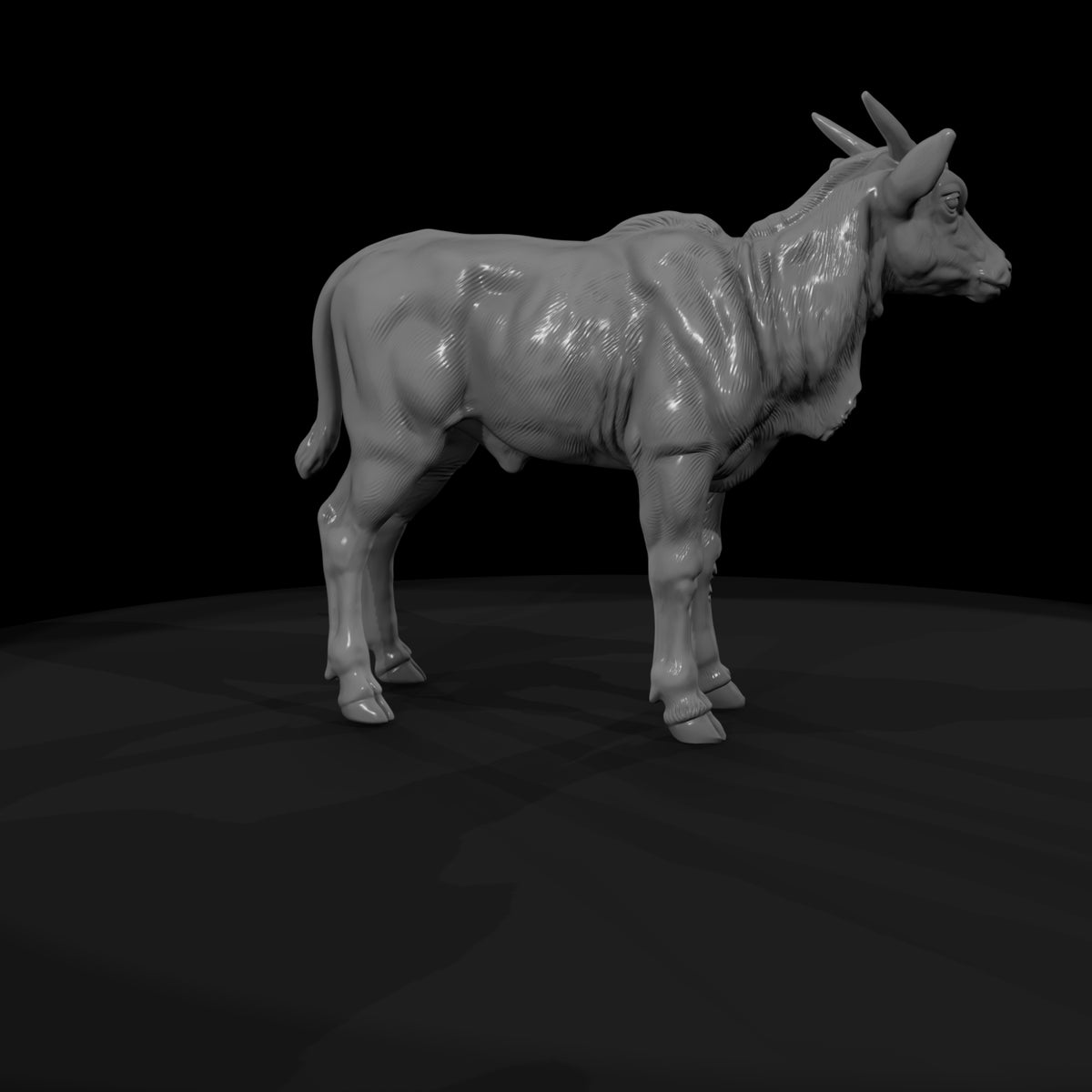 ant-243-eland-adolescent
