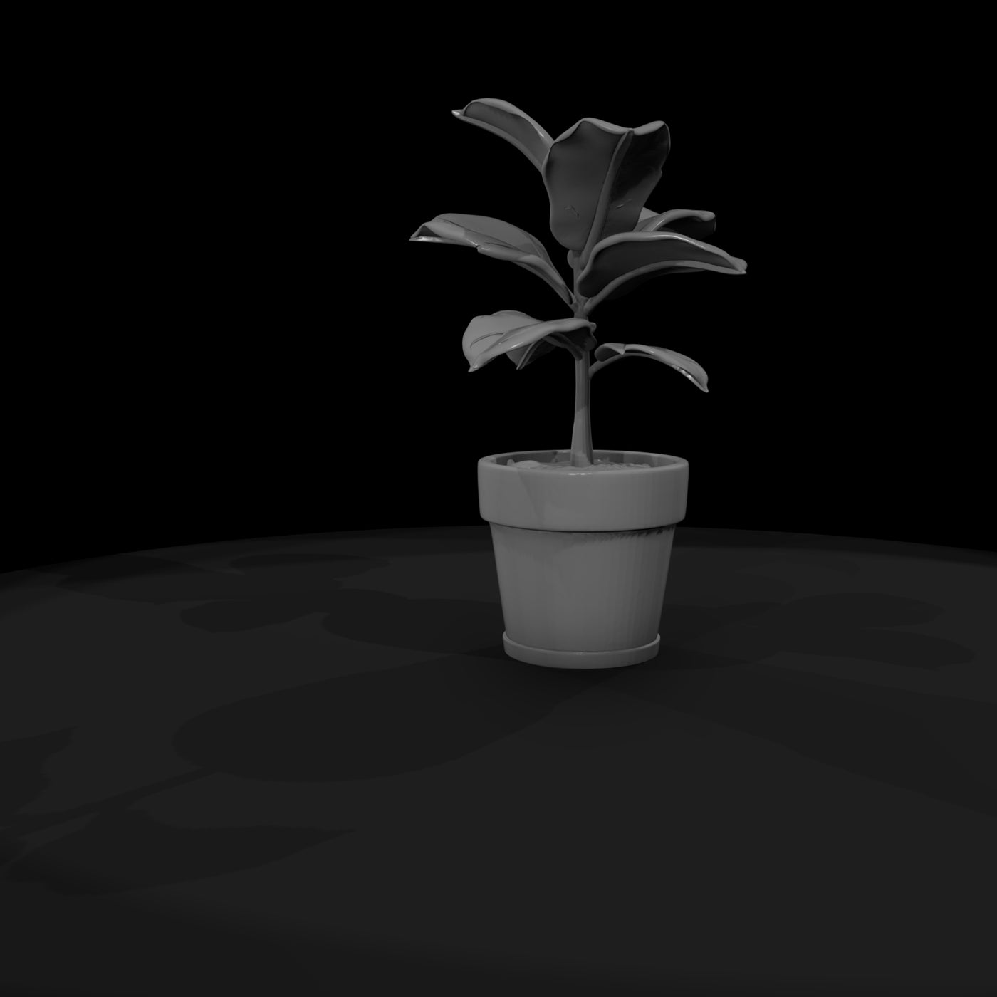 stylized-monochrome-potted-fiddle-leaf-fig-socjkaw