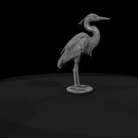 ant-289-great-blue-heron-male — thumbnail 7
