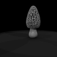 stylized-morel-mushroom-low-poly-diorama-scenery-939926 — thumbnail 8