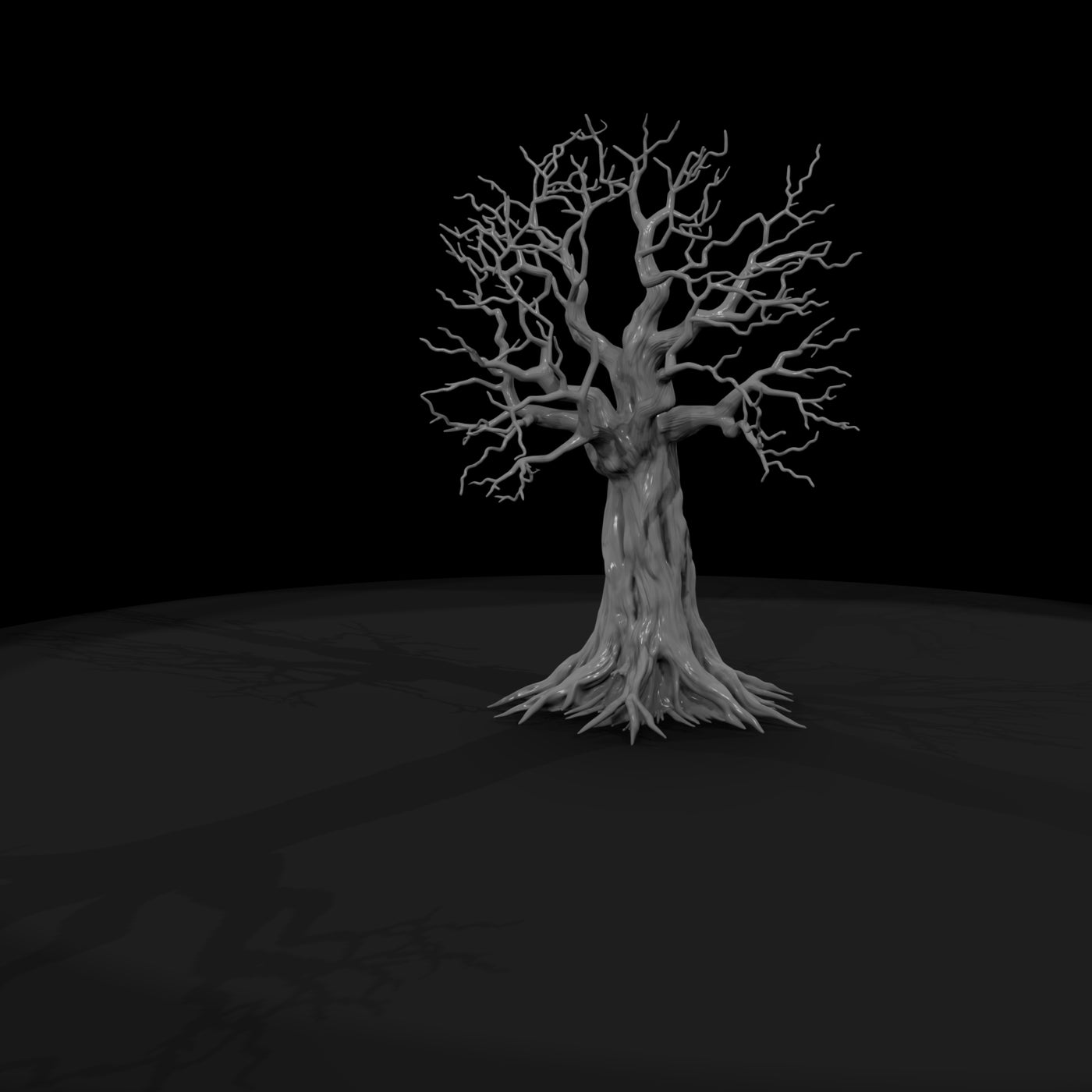 20260612-gnarled-leafless-tree-roots-ed5ca2ae15