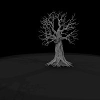 20260612-gnarled-leafless-tree-roots-ed5ca2ae15 — thumbnail 7