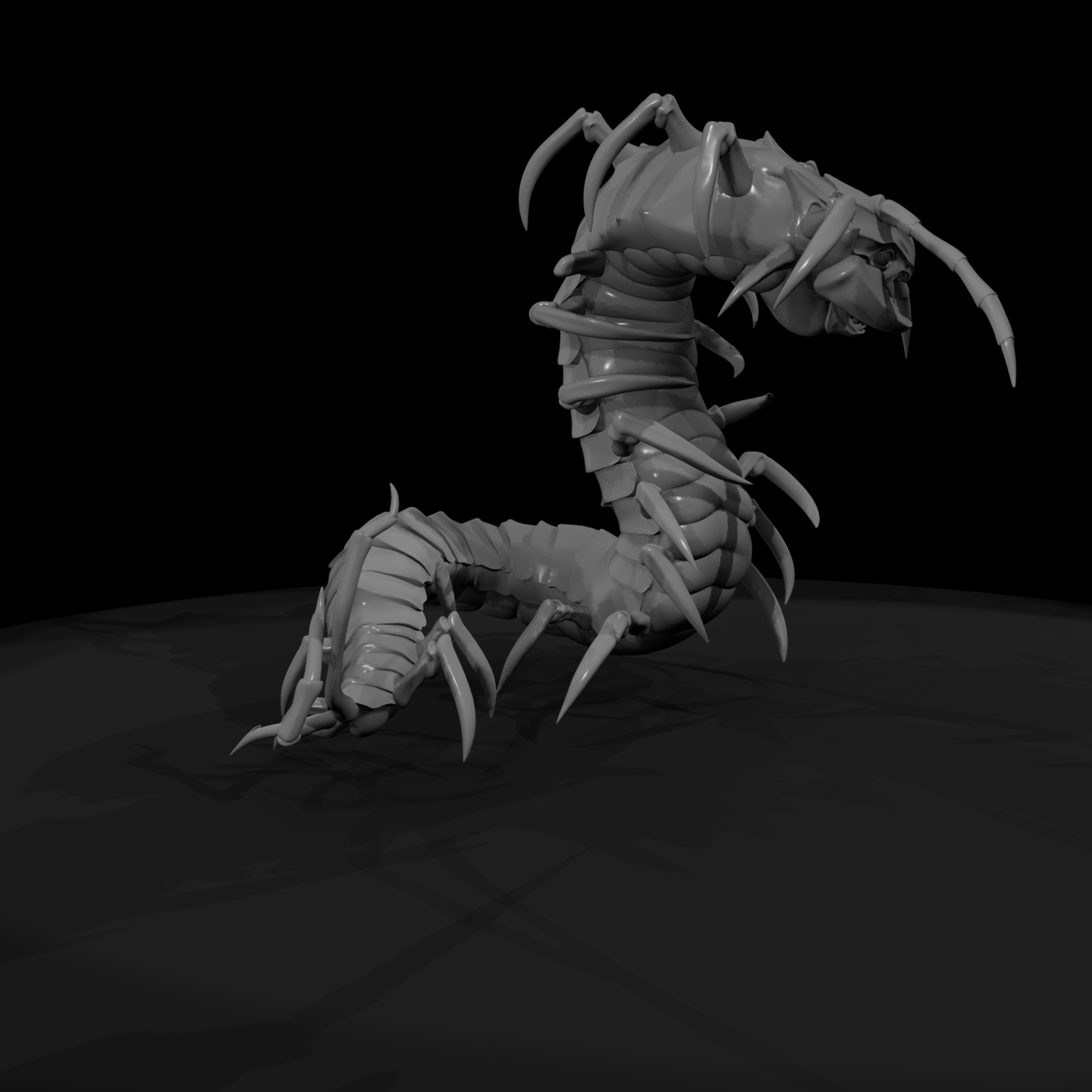 Giant Centipede