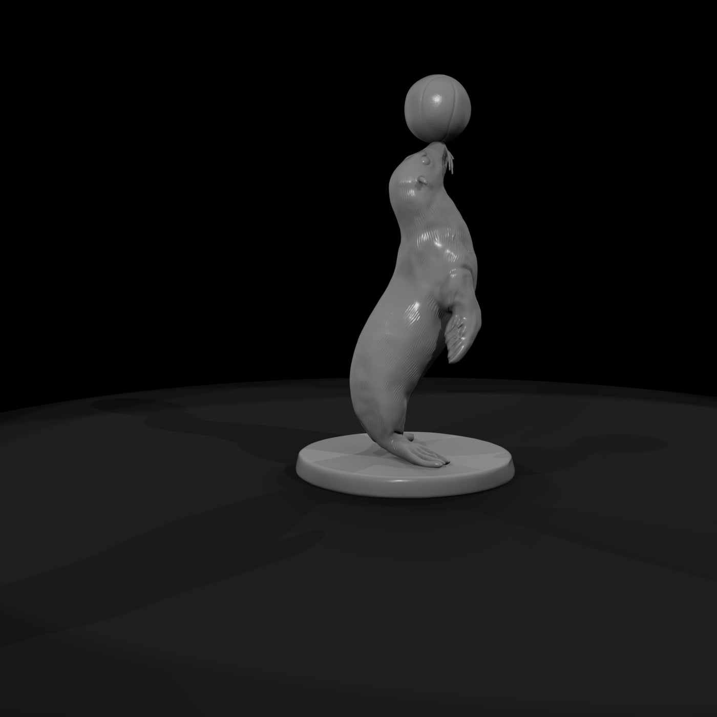 cir-119-animal-balancing-seal