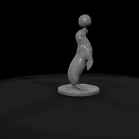 cir-119-animal-balancing-seal — thumbnail 7
