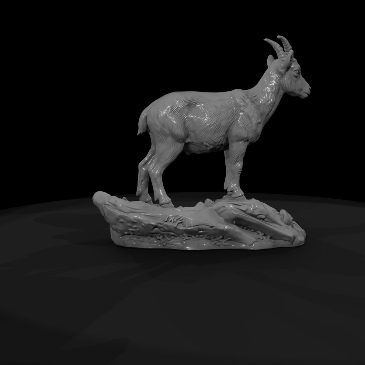 ant-278-alpine-ibex-female